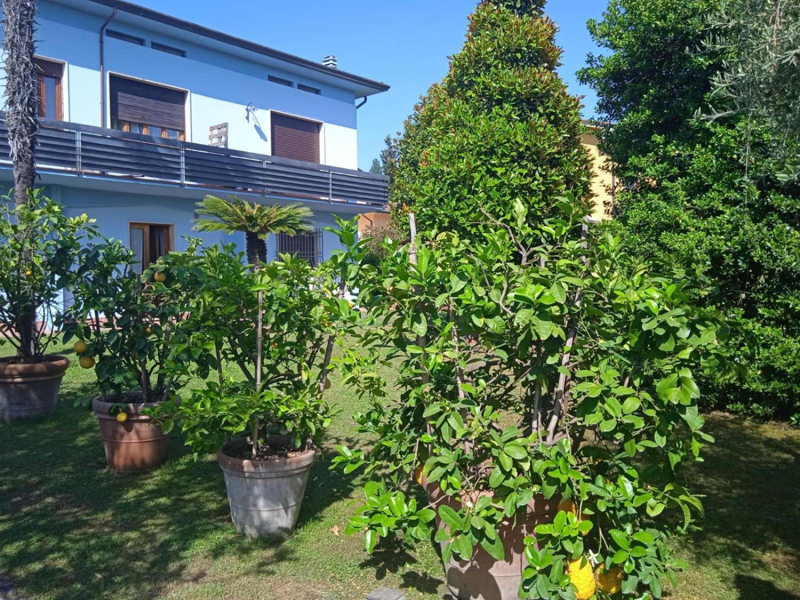 Villa Celeste Lucca Exterior foto